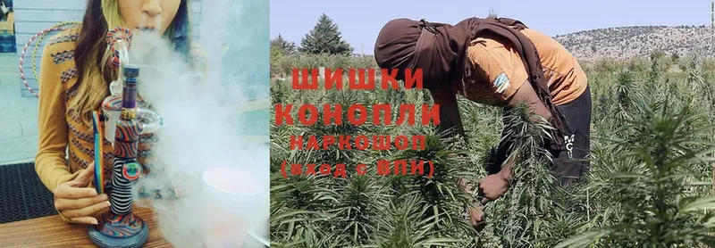 mega ONION  Струнино  Бошки Шишки White Widow  где найти  